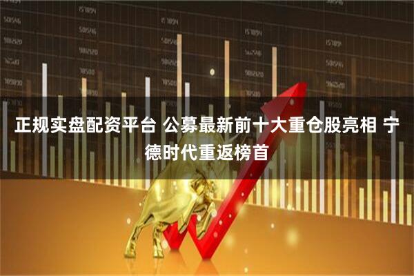 正规实盘配资平台 公募最新前十大重仓股亮相 宁德时代重返榜首