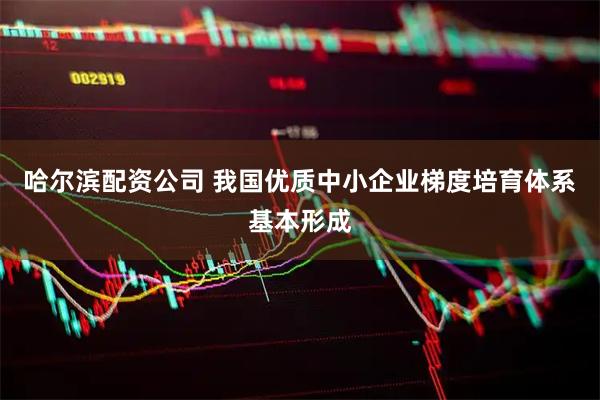 哈尔滨配资公司 我国优质中小企业梯度培育体系基本形成